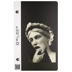 Защитная гидрогелевая пленка на заднюю крышку Blade Hydrogel Antique Statues series (touch (white)) Защитная гидрогелевая пленка на заднюю крышку Blade Hydrogel Antique Statues series (touch (white))