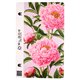 Захисна гідрогелева плівка на задню кришку Blade Hydrogel Flowers series (chrysanthemum)