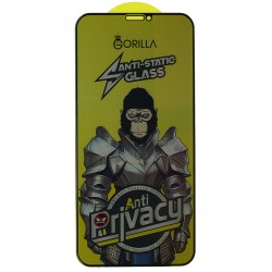 Защитное стекло для Apple iPhone X, iPhone XS, iPhone 11 Pro, Full Glue, Anti-Static Privacy, 0.3 мм, чёрное