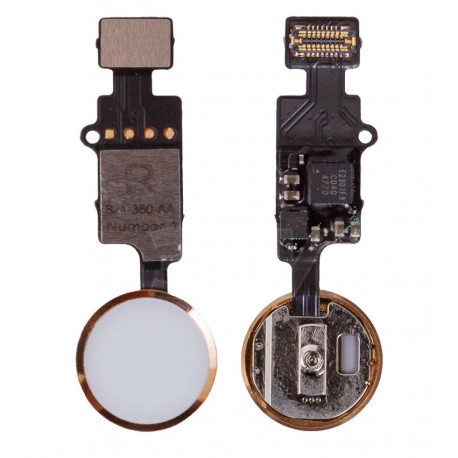 Шлейф для Apple iPhone 7, iPhone 7 Plus, iPhone 8, iPhone 8 Plus, iPhone SE 2020, кнопки HOME, золотистий, з пластиком, без сканера відбитків пальц...