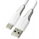 Кабель Type-C - USB, Borofone BX119, 1 метр, 2,4А, білий