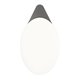 Лопатка металлическая Amaoe EGG-DP2, для отделения дисплея от рамки, толщина 0.1 мм, длина 11 мм