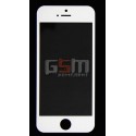 Скло дисплея для iPhone 5S, білий