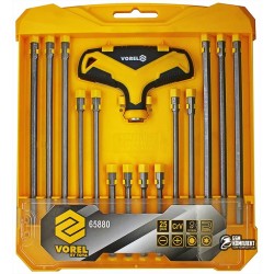 Набір біт з Y- подібної ручкою VOREL 65880, 25 ел.