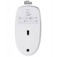 Мышь Logitech M100 белая USB (910-005004/910-001605)