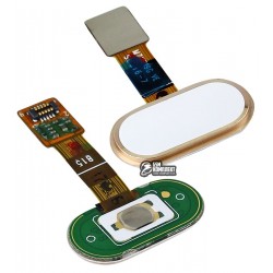 Шлейф для Meizu M5s, кнопки меню, золотистый, с пластиком