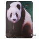 Универсальная книжка для планшета Anny 10", Панда