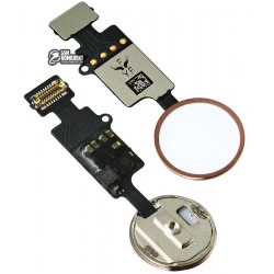 Шлейф для Apple iPhone 7