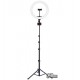 Кольцевая светодиодная лампа JOYROOM JR-ZS228 LED Live show (12 дюймов) AKL03, для блогеров
