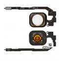 Шлейф для iPhone 5S, iPhone SE, кнопки Home, золотистый, с пластиком, China quality