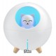 Зволожувач повітря WK WT-A06 Planet Cat Humidifier