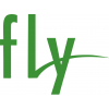 Защитные пленки для телефонов Fly