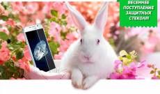 Поступление защитных стекол