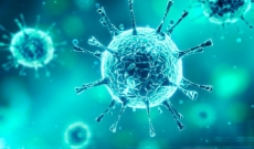 График работы март 2020